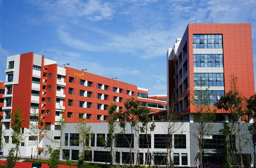 水泥纤维板氟碳漆保温一体板 技术开发与四川生产厂家的行业领先实践