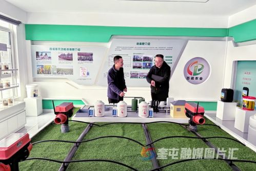 奎屯-独山子经济技术开发区 政企银联动强链补短，技术开发提速园区高质量发展