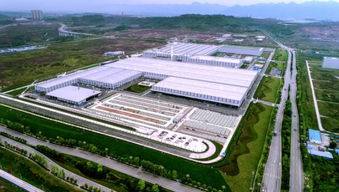 海西汽车网技术开发 驱动未来出行新生态